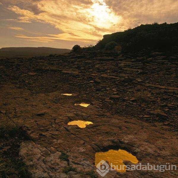 Günün en çok paylaşılan fotoğrafları