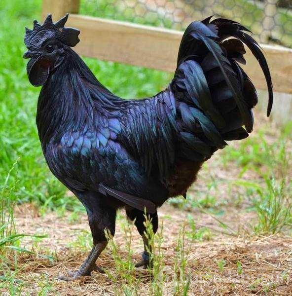 Günün en çok paylaşılan fotoğrafları