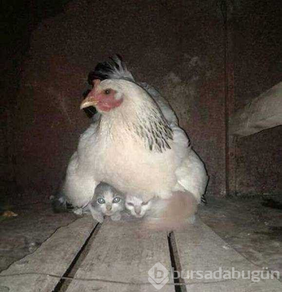 Günün en çok paylaşılan fotoğrafları