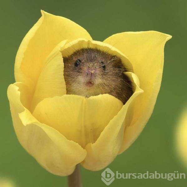 Günün en çok paylaşılan fotoğrafları
