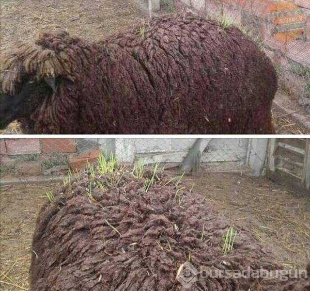 Günün en çok paylaşılan fotoğrafları