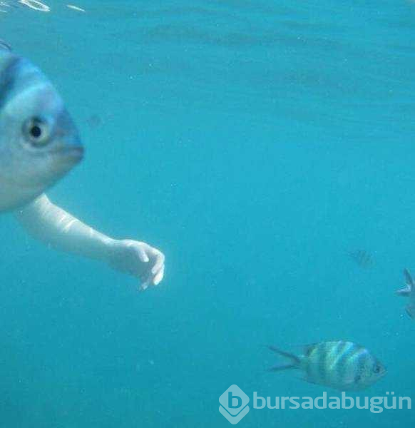 Günün en çok paylaşılan fotoğrafları