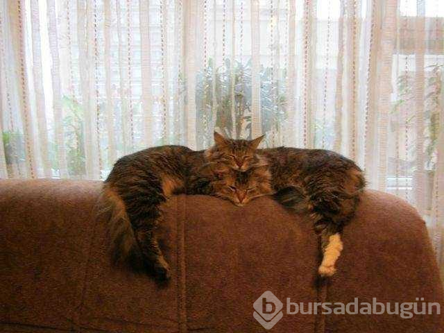 Günün en çok paylaşılan fotoğrafları