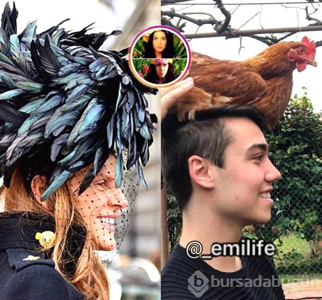 Ünlülerin instagram paylaşımlarını trolleyen genç