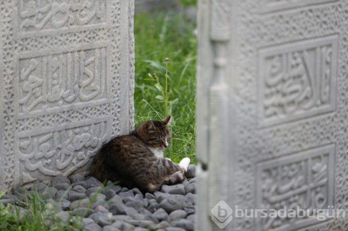 Yaşayan Osmanlı ruhu: Bursa Muradiye Külliyesi 