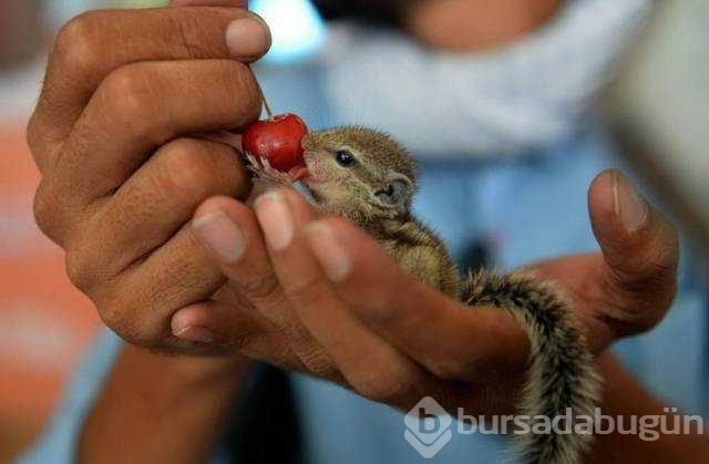 Günün en çok paylaşılan fotoğrafları
