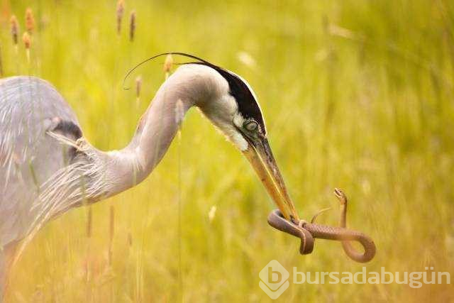 Günün en çok paylaşılan fotoğrafları
