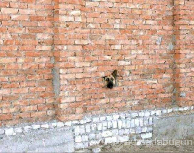 Günün en çok paylaşılan fotoğrafları
