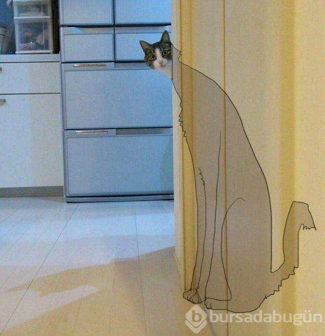 Günün en çok paylaşılan fotoğrafları

