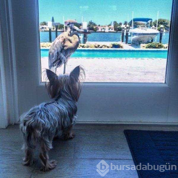 Günün en çok paylaşılan fotoğrafları
