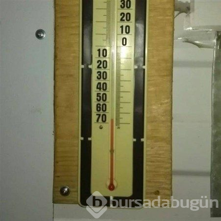 Bu Ruslar çıldırmış olmalı
