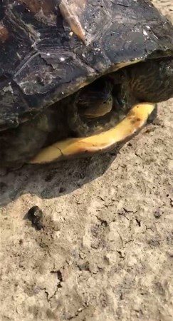 İnsanlığınızdan utandıran fotoğraflar
