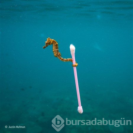 İnsanlığınızdan utandıran fotoğraflar