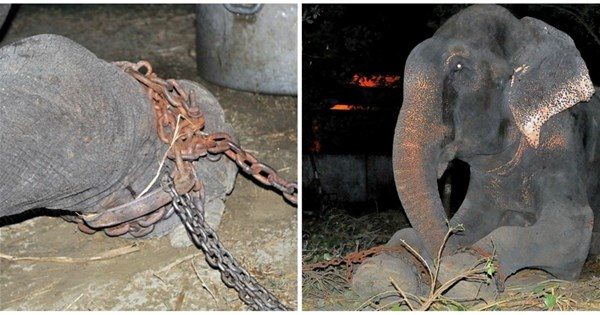 İnsanlığınızdan utandıran fotoğraflar