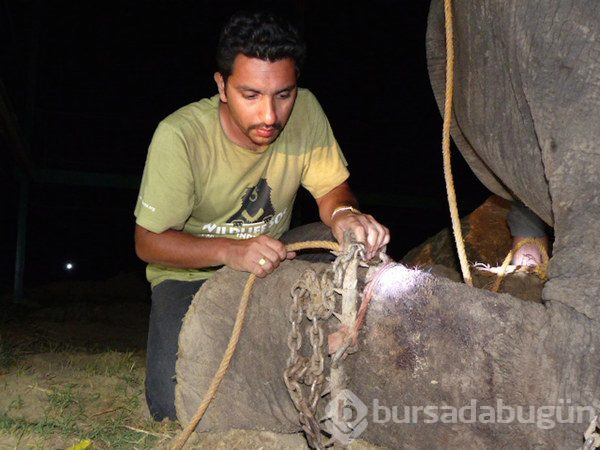 İnsanlığınızdan utandıran fotoğraflar