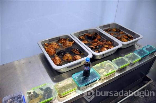Valizden çıkanlar şoke etti

