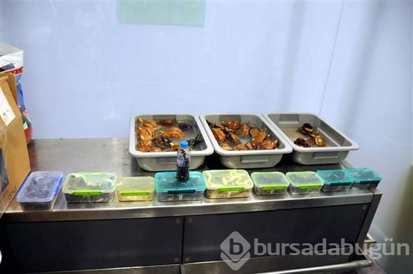 Valizden çıkanlar şoke etti
