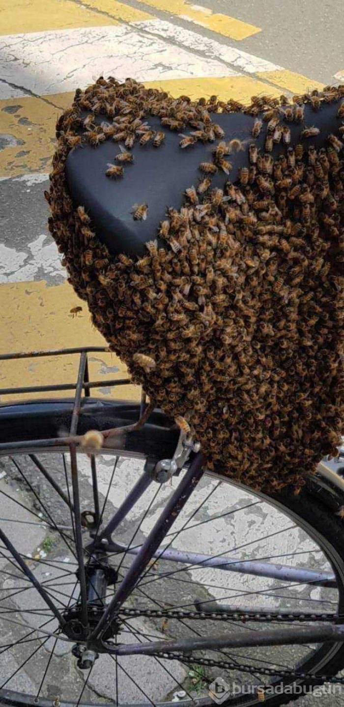 Günün en çok paylaşılan fotoğrafları
