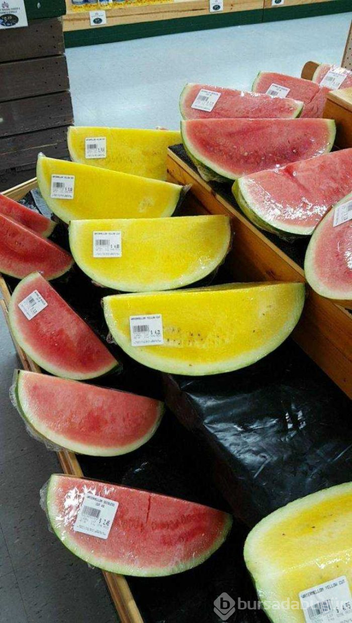 Günün en çok paylaşılan fotoğrafları
