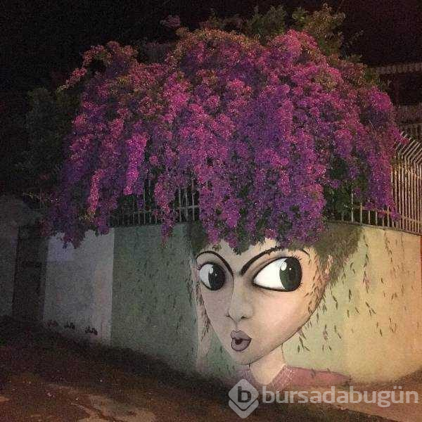 Günün en çok paylaşılan fotoğrafları

