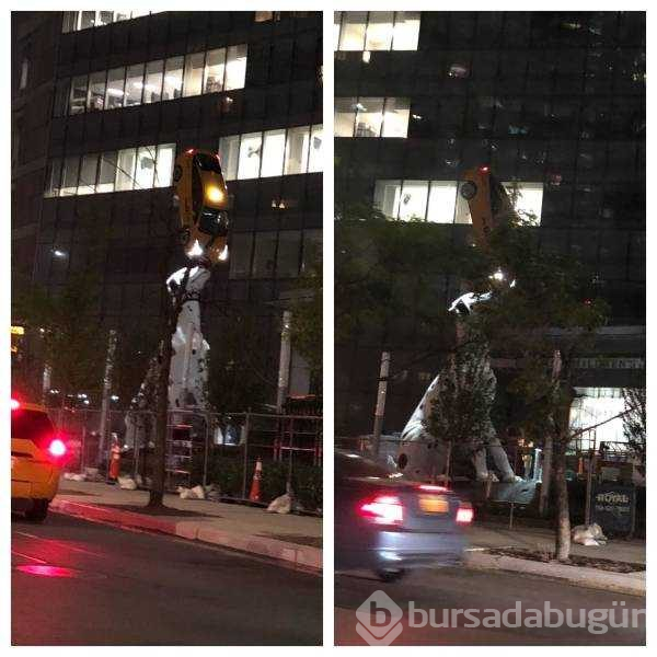 Günün en çok paylaşılan fotoğrafları
