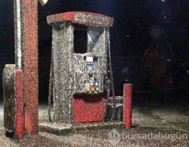 Günün en çok paylaşılan fotoğrafları
