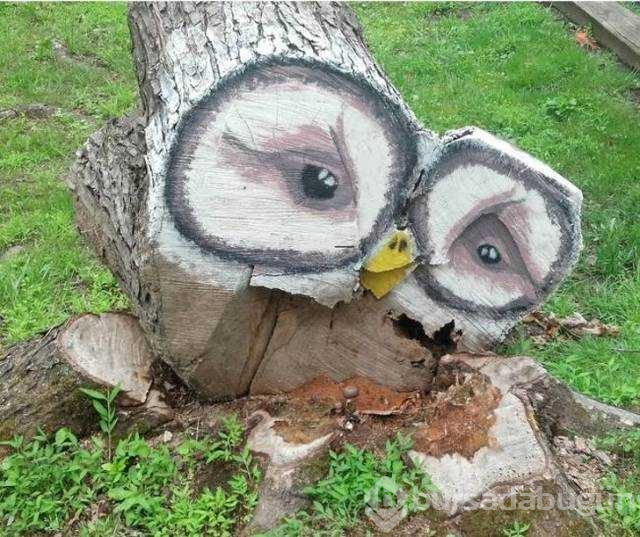 Günün en çok paylaşılan fotoğrafları
