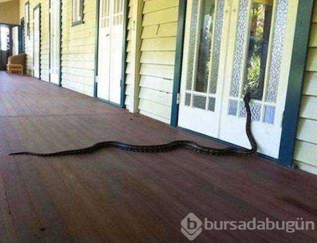 Günün en çok paylaşılan fotoğrafları
