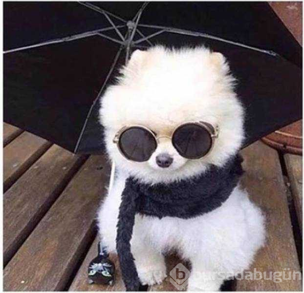 Günün en çok paylaşılan fotoğrafları
