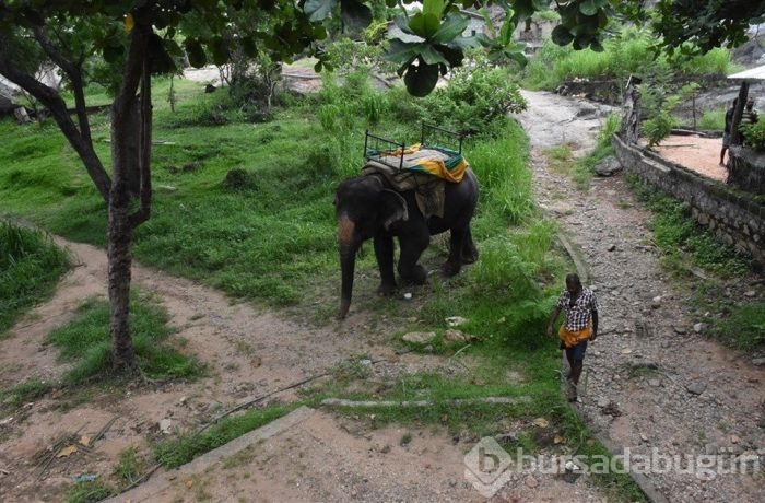 "Hindistan'ın gözyaşı": Sri Lanka