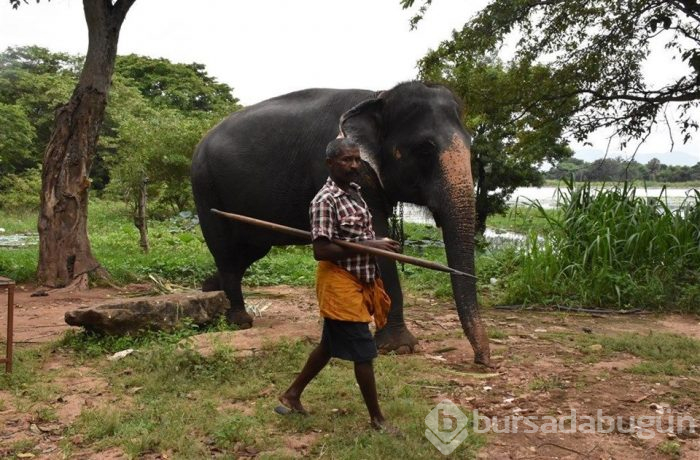 "Hindistan'ın gözyaşı": Sri Lanka