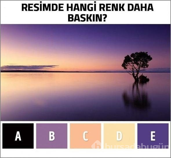 Sosyal medya bu soruya yanıt arıyor: Resimde kaç renk var?