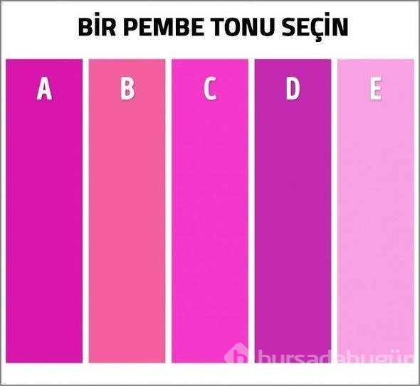 Sosyal medya bu soruya yanıt arıyor: Resimde kaç renk var?