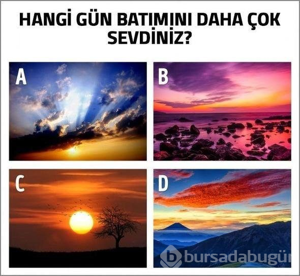 Sosyal medya bu soruya yanıt arıyor: Resimde kaç renk var?