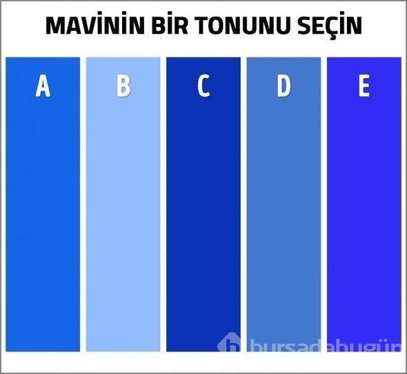 Sosyal medya bu soruya yanıt arıyor: Resimde kaç renk var?