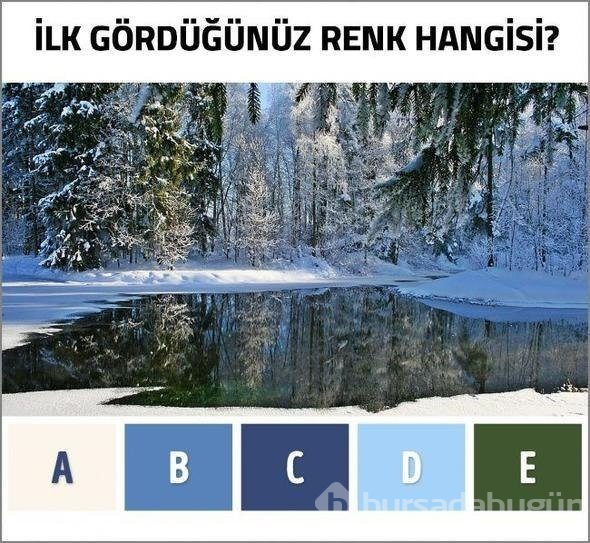 Sosyal medya bu soruya yanıt arıyor: Resimde kaç renk var?
