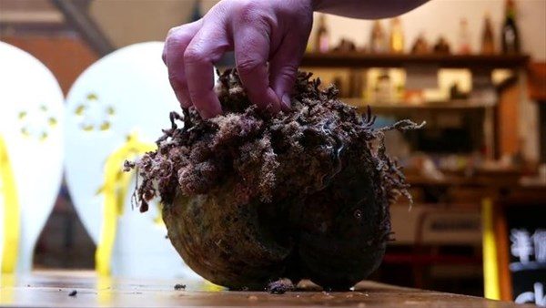 Japonların şaşırtan yemeği