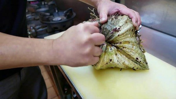 Japonların şaşırtan yemeği