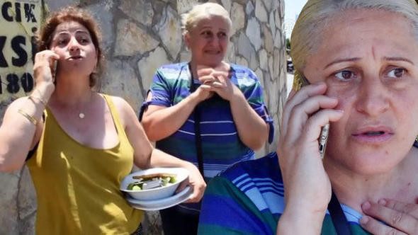 Bodrum'da domuz sürüsü paniği