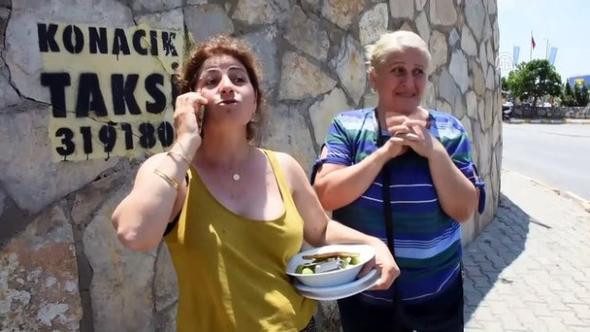 Bodrum'da domuz sürüsü paniği