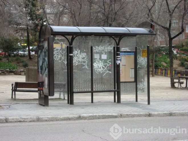Ne olduğunu öğrenen şaşıp kalıyor!