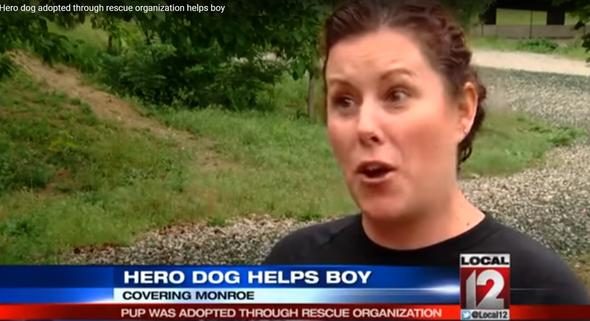 Köpek sahibini uluyarak uyandırdı! Banyo kapısını açan kadın hayatının şokunu yaşadı...