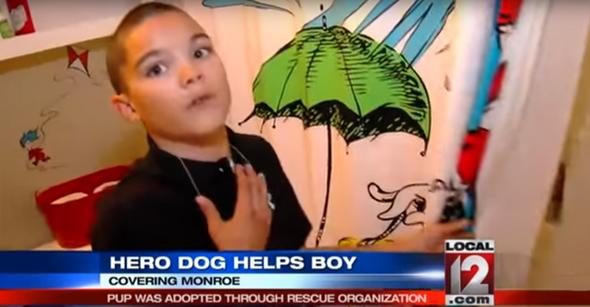 Köpek sahibini uluyarak uyandırdı! Banyo kapısını açan kadın hayatının şokunu yaşadı...