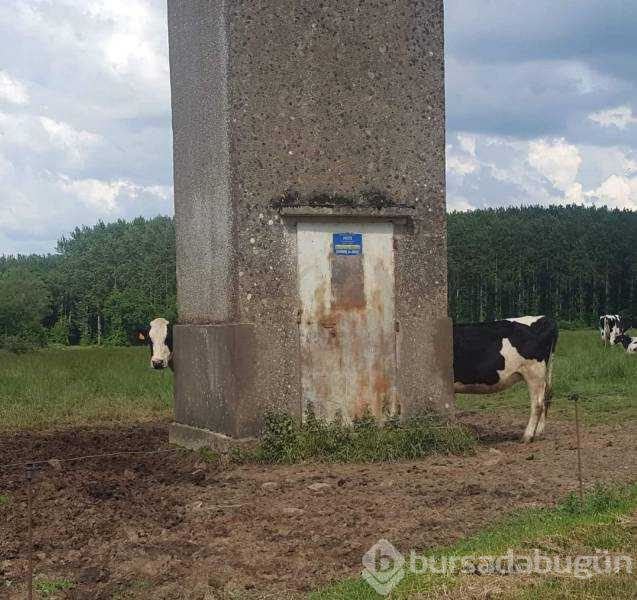 Günün en çok paylaşılan fotoğrafları
