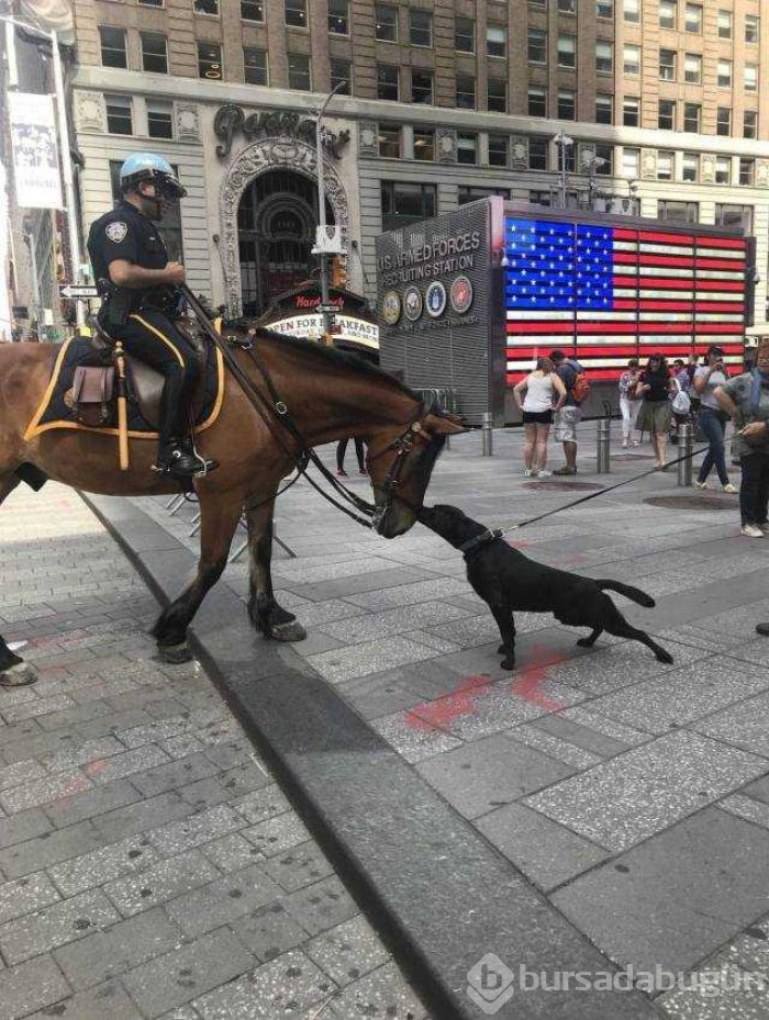 Günün en çok paylaşılan fotoğrafları