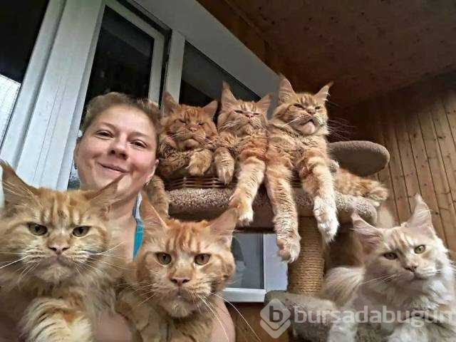 Günün en çok paylaşılan fotoğrafları