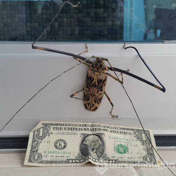 Günün en çok paylaşılan fotoğrafları