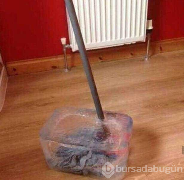 Günün en çok paylaşılan fotoğrafları