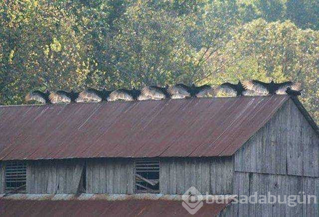 Günün en çok paylaşılan fotoğrafları
