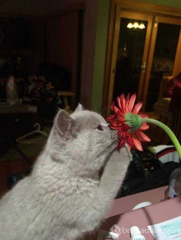 Günün en çok paylaşılan fotoğrafları